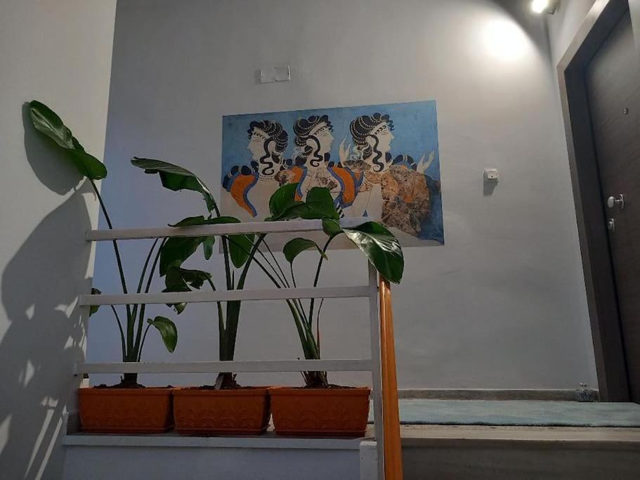 Acropolis Panoramic Studio 雅典 外观 照片